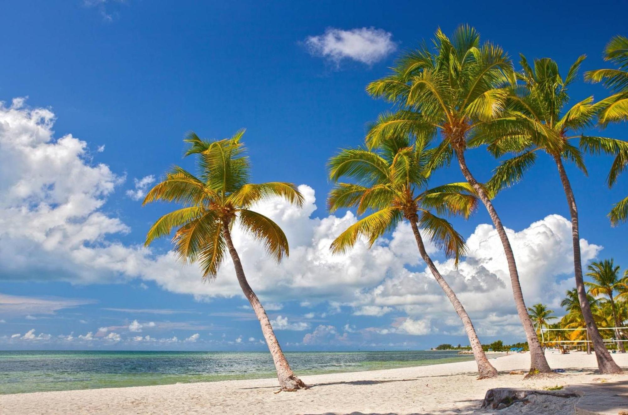 Breezy Bungalow By Avantstay Close 2 Zachary Taylor State Park Beach W Shared Pool Week Long Holiday home Key West